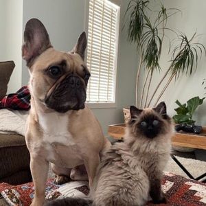 Meet your Posher, Candace